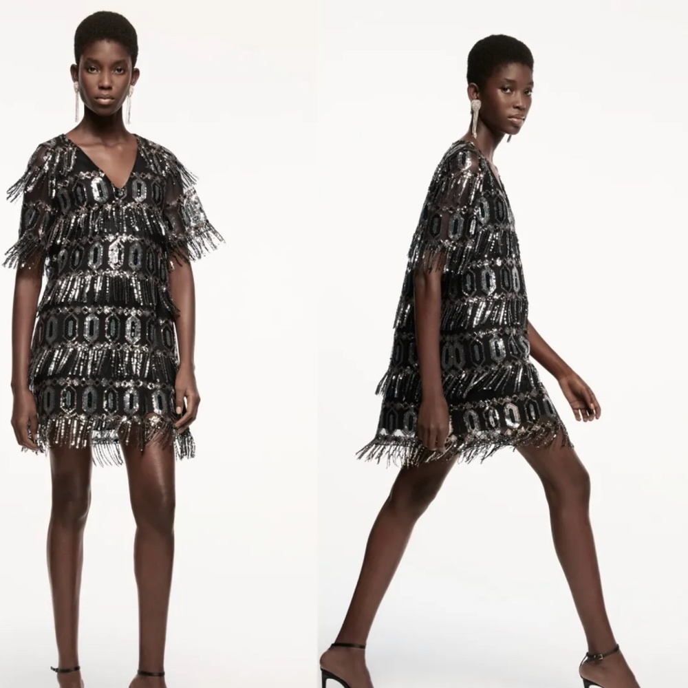 Zara new with tags fringe and sequin dress size medium